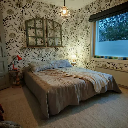 Kesaeasunto, Vuokraajalle Kaeytoessae Myoes Kajakkikaksikko