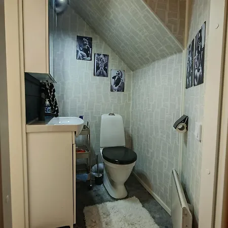 Kesaeasunto, Vuokraajalle Kaeytoessae Myoes Kajakkikaksikko Casa vacanze Heinola