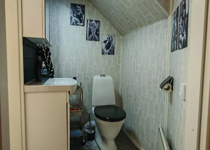 Kesaeasunto, Vuokraajalle Kaeytoessae Myoes Kajakkikaksikko Casa vacanze Heinola